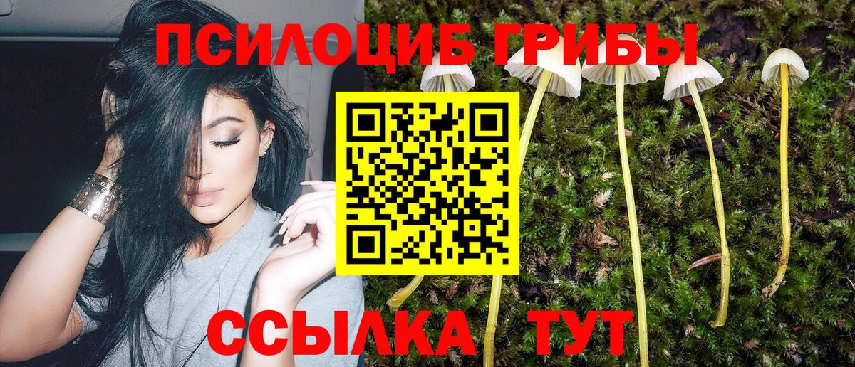 Чапаевск  Галлюциногенные грибы Psilocybe  Псилоцибиновые грибы GOLDEN TEACHER  Вход с VPN 
